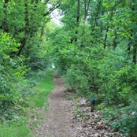wandelen_1.jpg
